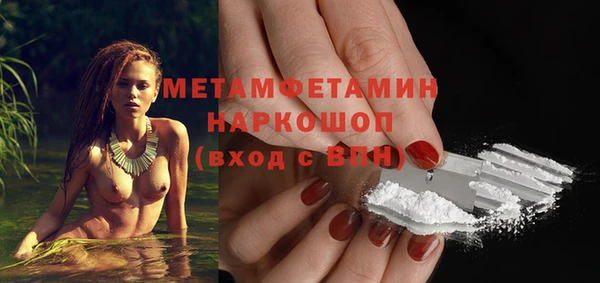 прущие грибы Медногорск