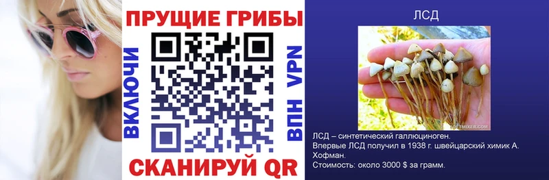 Псилоцибиновые грибы MAGIC MUSHROOMS  Пойковский 